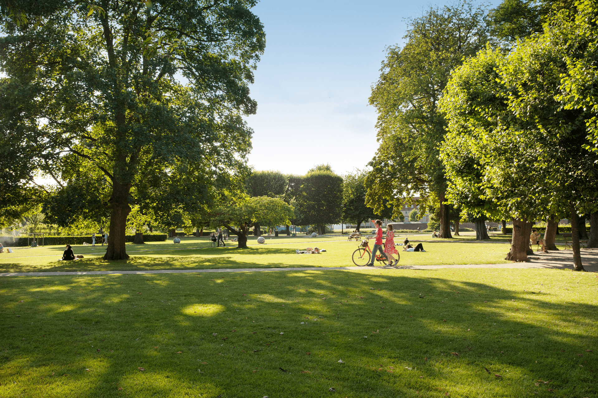 People in a park environment